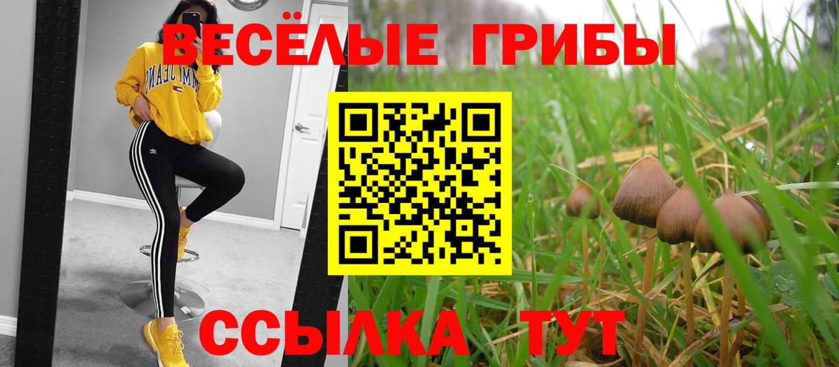 Кропоткин  Галлюциногенные грибы мицелий  Галлюциногенные грибы GOLDEN TEACHER  Вход с VPN 